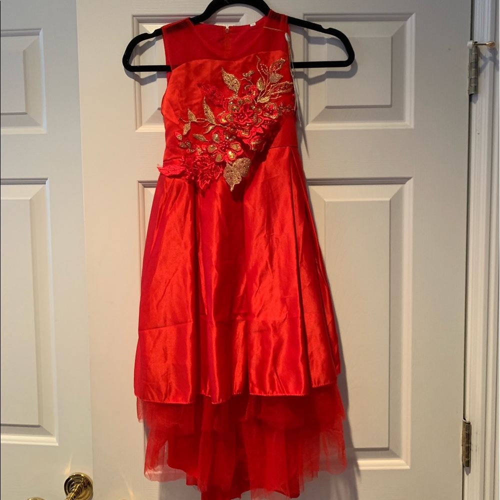 Pageant, Christmas, party or flower girl dress